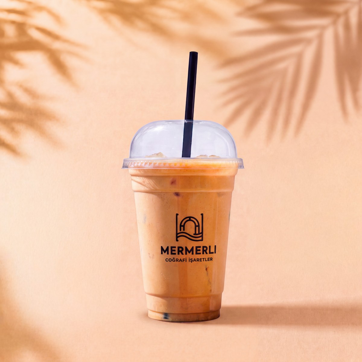 Soğuk Köpüklü Kahve / Iced Frappe