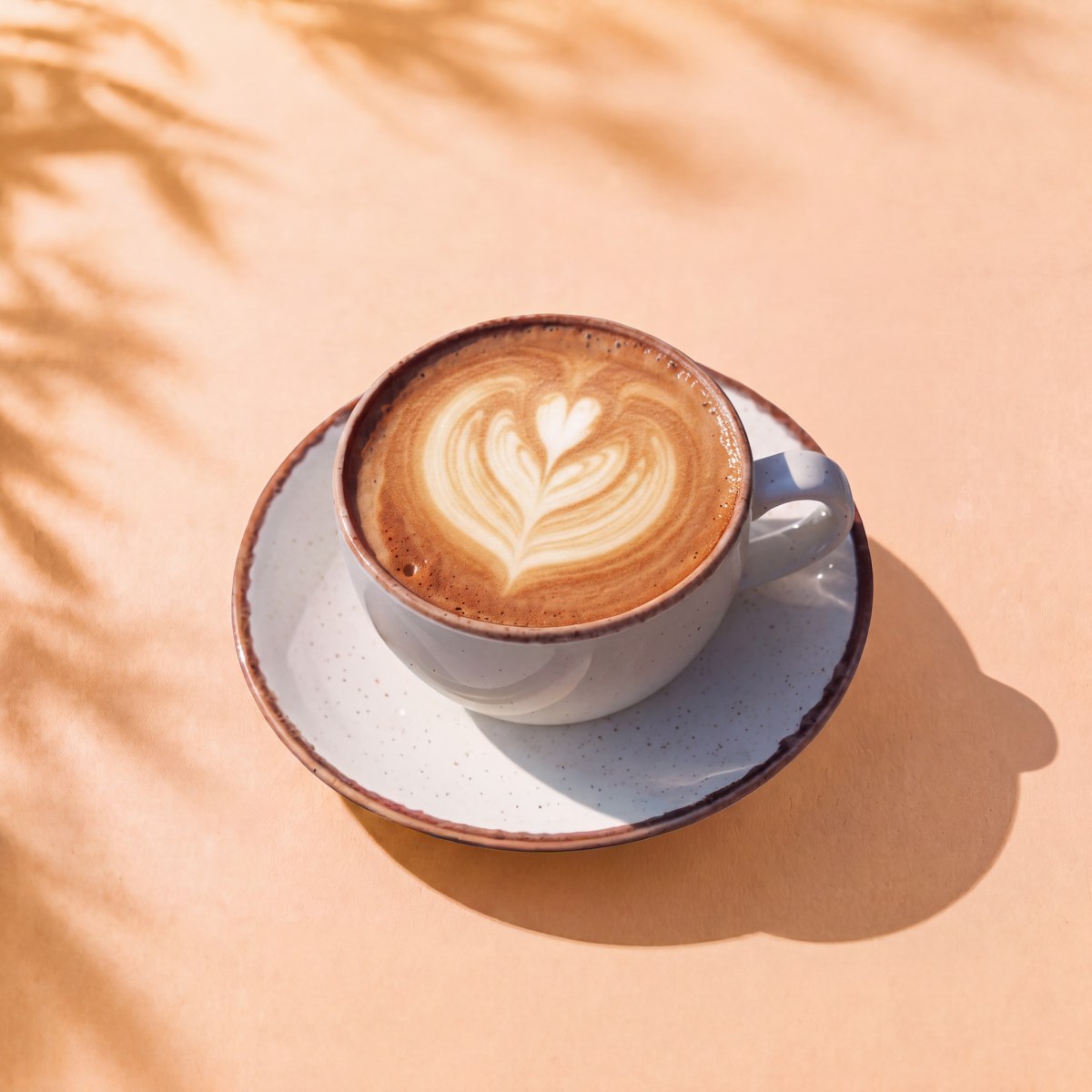 Vanilyalı Sütlü Kahve / Vanilla Latte