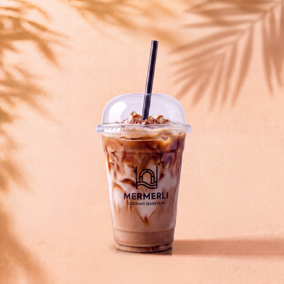 Soğuk Sütlü Çikolatalı Kahve / Iced Mocha