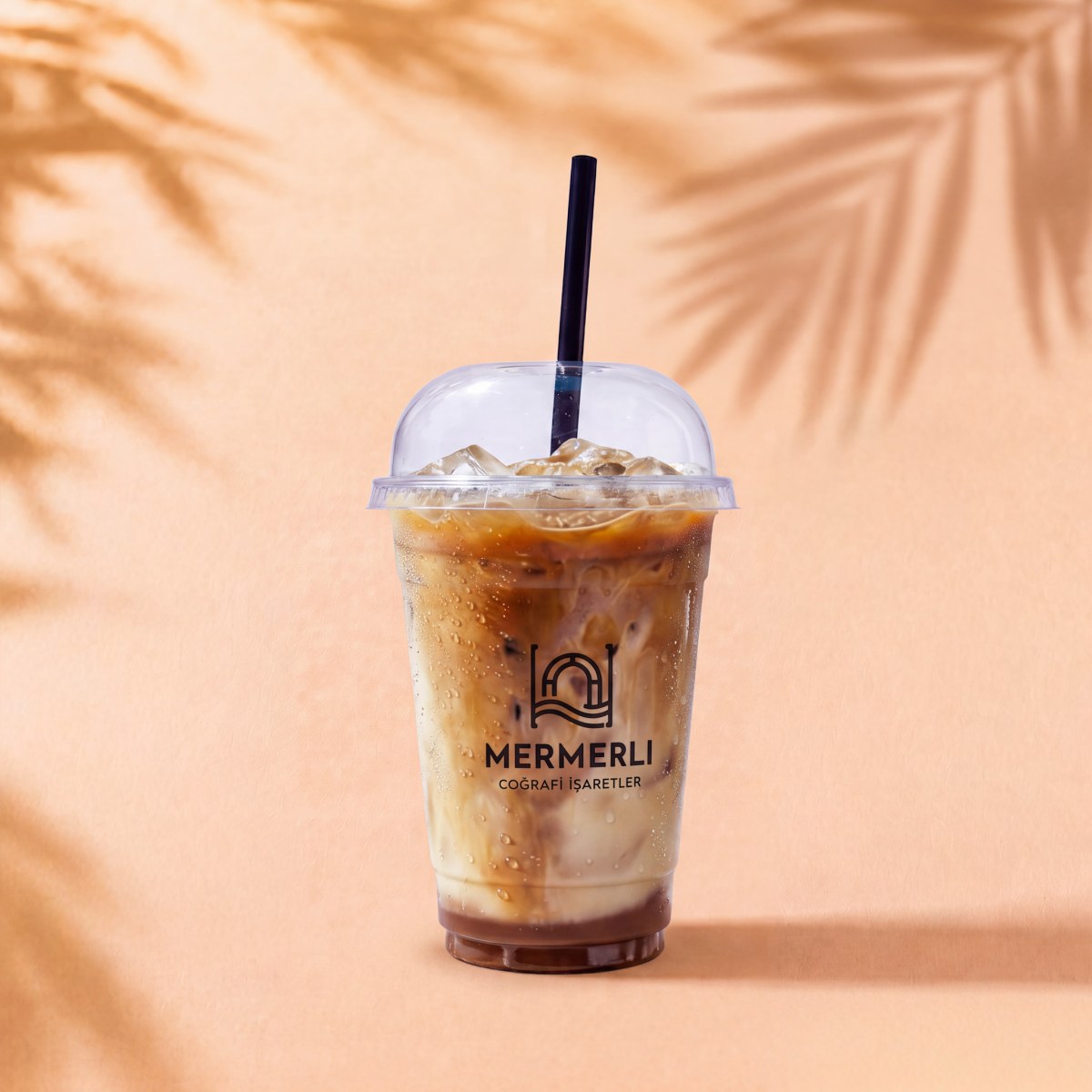 Soğuk Vanilyalı Sütlü Kahve / Iced Vanilla Latte