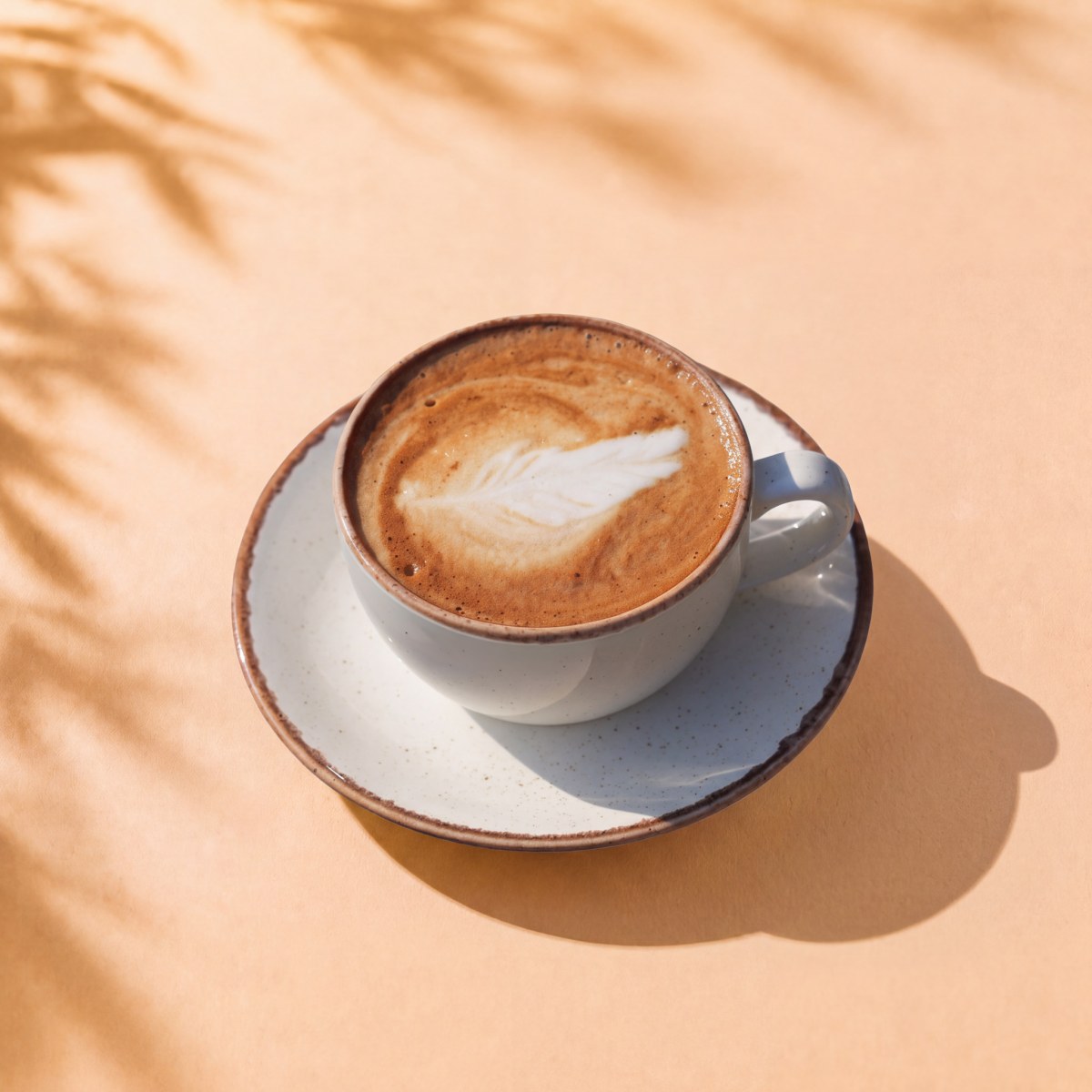 Sütlü Kahve / Latte