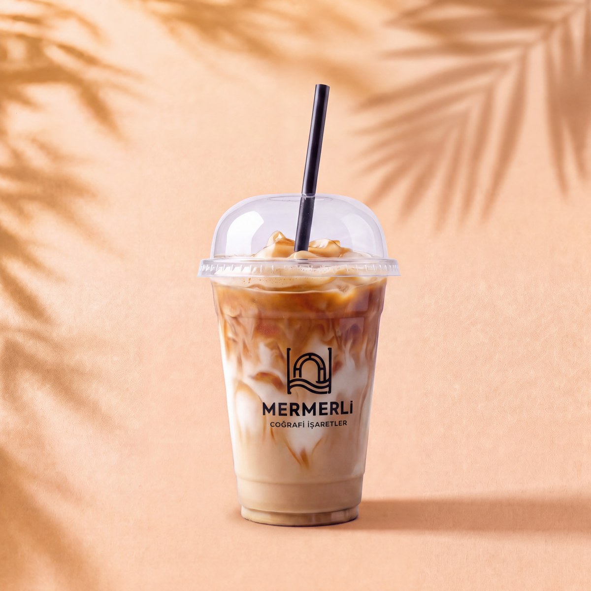 Soğuk Karamelli Kahve / Iced Caramel Latte