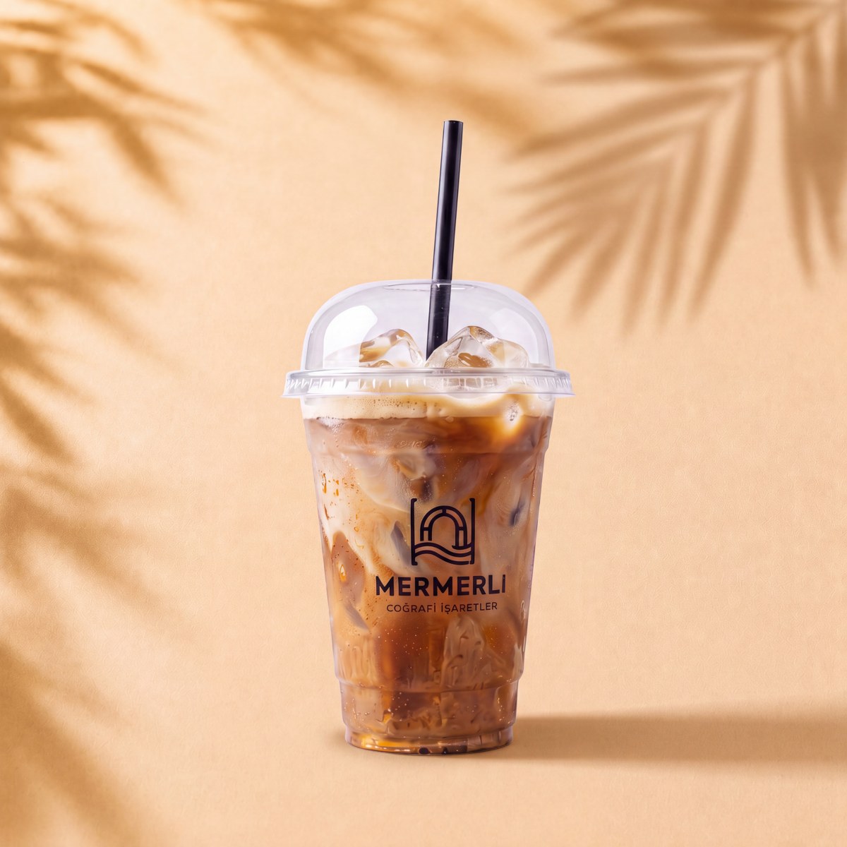 Soğuk Sütlü Kahve / Iced Latte