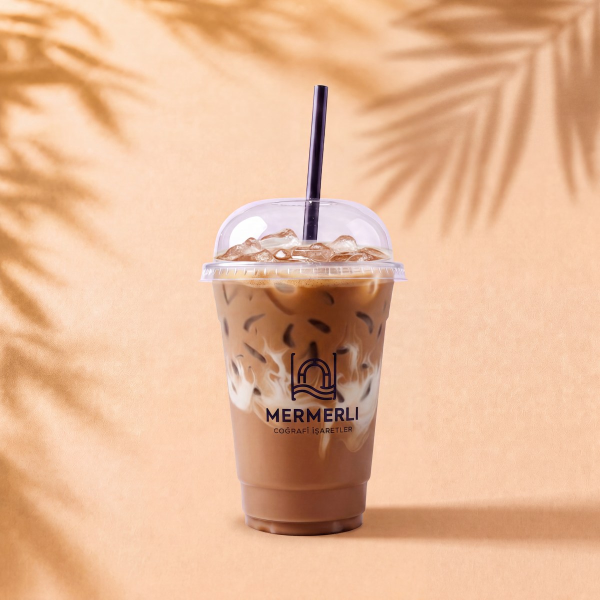 Soğuk Sert Sütlü Kahve / Iced Flat White